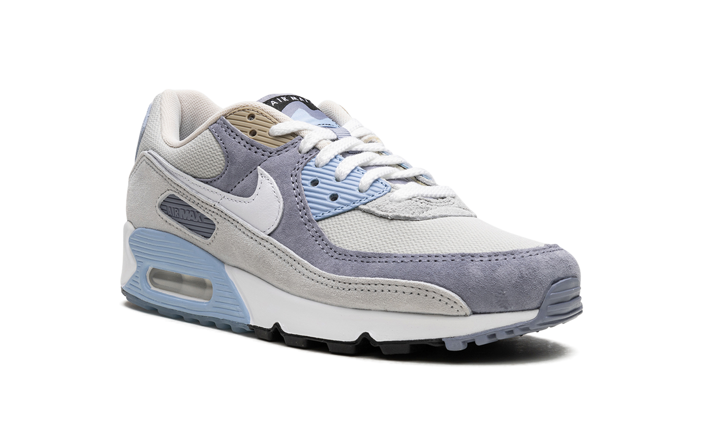 Air Max 90 "Ashen Slate"