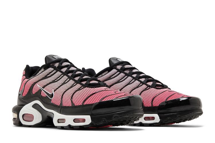 Nike Air Max Plus All Day