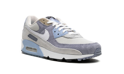 Air Max 90 "Ashen Slate"