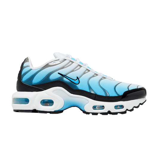 Nike Air Max Plus Ice (GS)