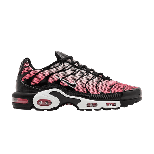 Nike Air Max Plus All Day