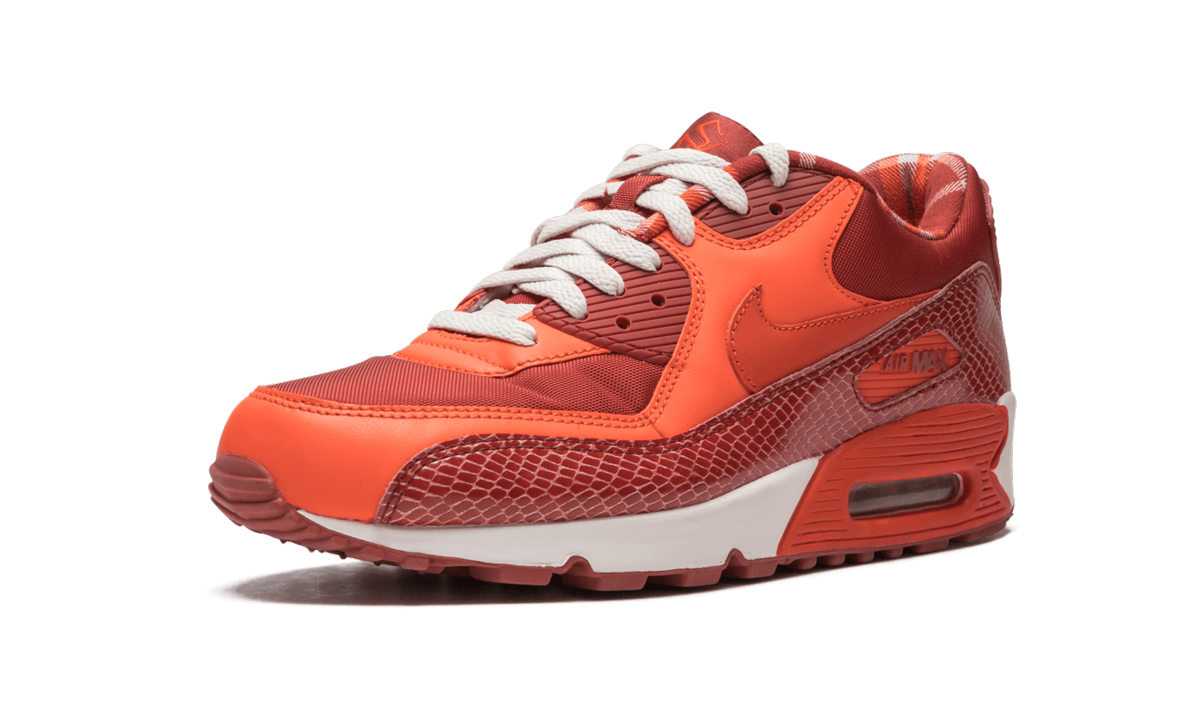 Air Max 90 QK "STEVE NASH"