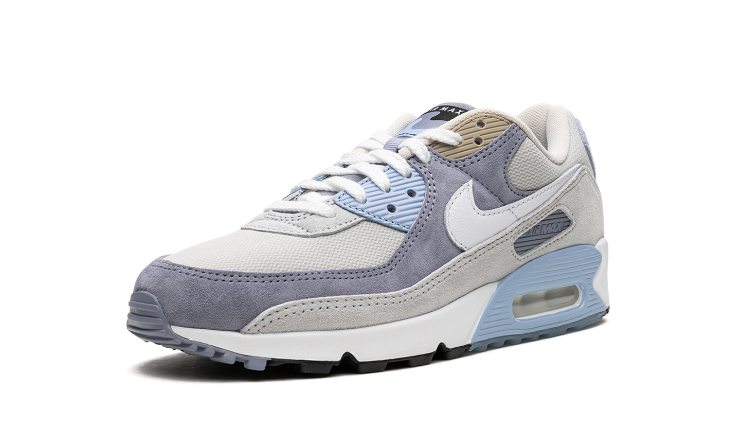 Air Max 90 "Ashen Slate"