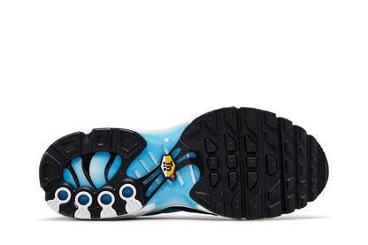 Nike Air Max Plus Ice (GS)