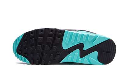 Air Max 90 "Turquoise"