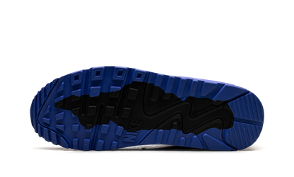 Air Max 90 Gore-Tex "Cool Grey Anthracite Obsidian Pure Platinum"