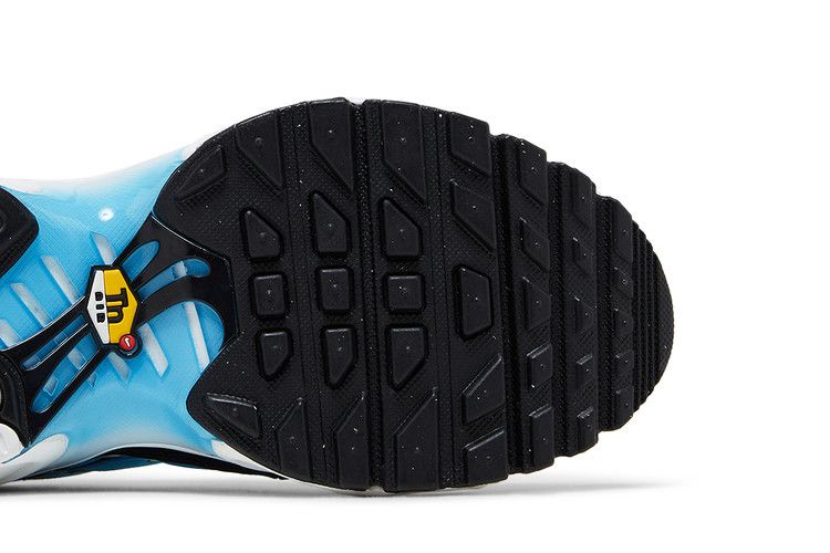 Nike Air Max Plus Ice (GS)