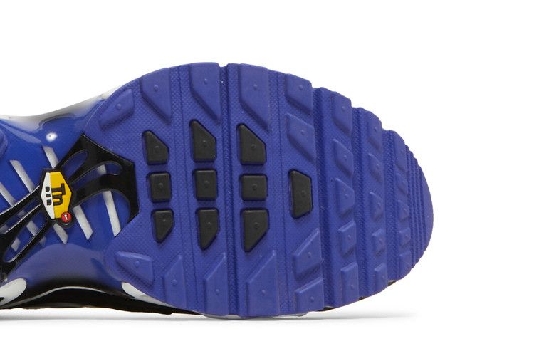 Nike Air Max Plus Persian Violet (GS)