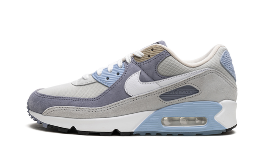 Air Max 90 "Ashen Slate"