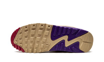 Air Max 90 SE "Air Sprung Sesame"