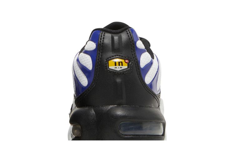 Nike Air Max Plus Persian Violet (GS)