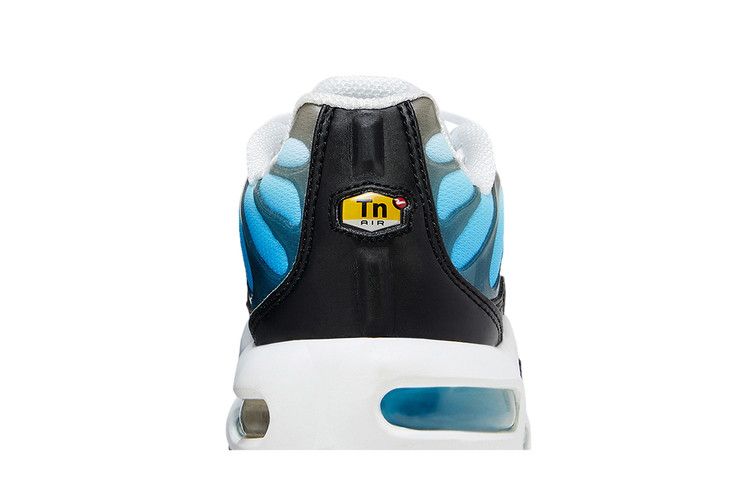 Nike Air Max Plus Ice (GS)