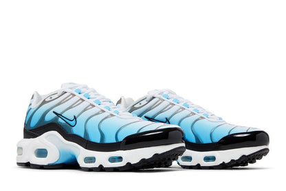 Nike Air Max Plus Ice (GS)