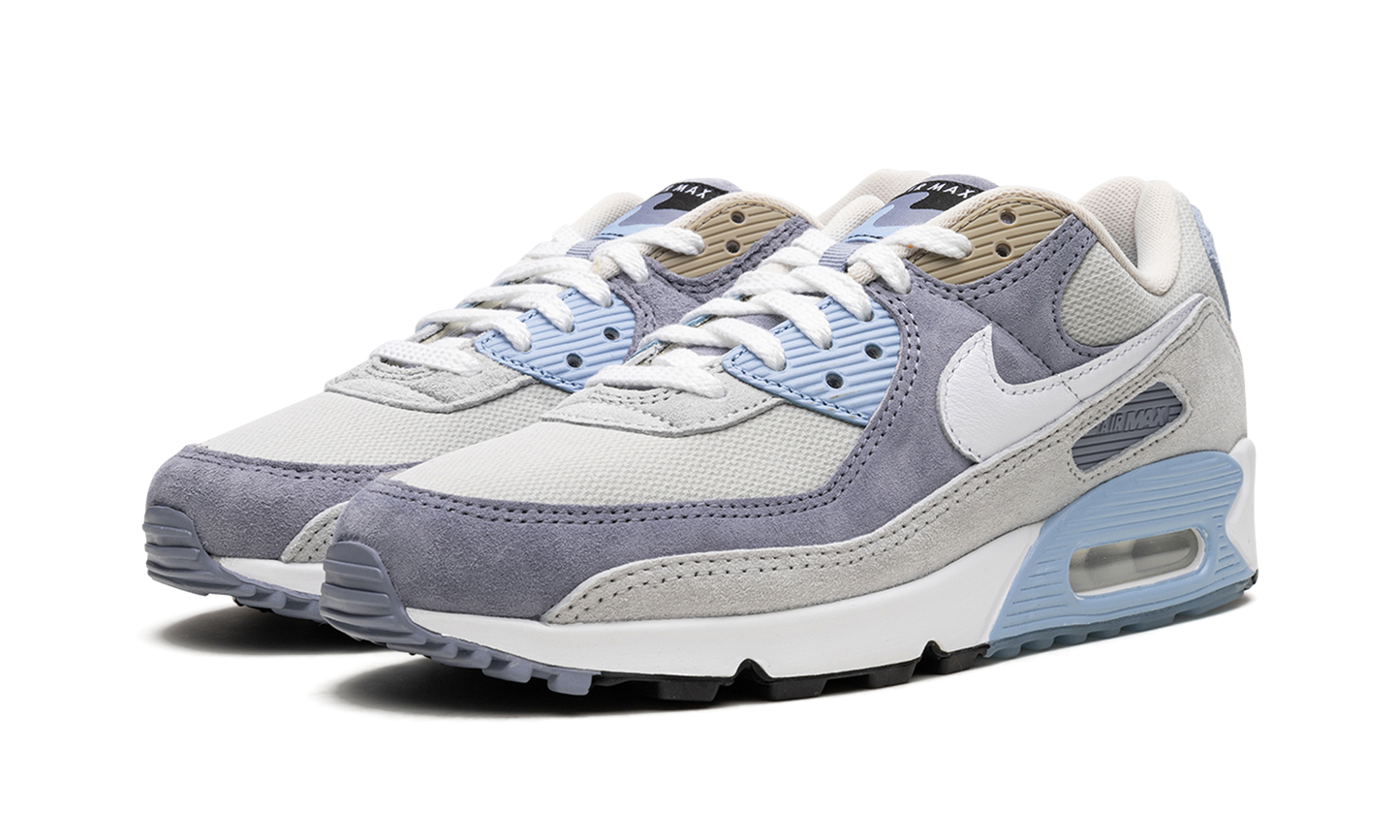 Air Max 90 "Ashen Slate"