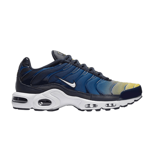 Nike Air Max Plus Gradient Pack Obsidian