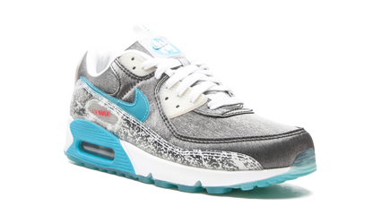 AIR MAX 90 MNS WMNS "Rice Ball"