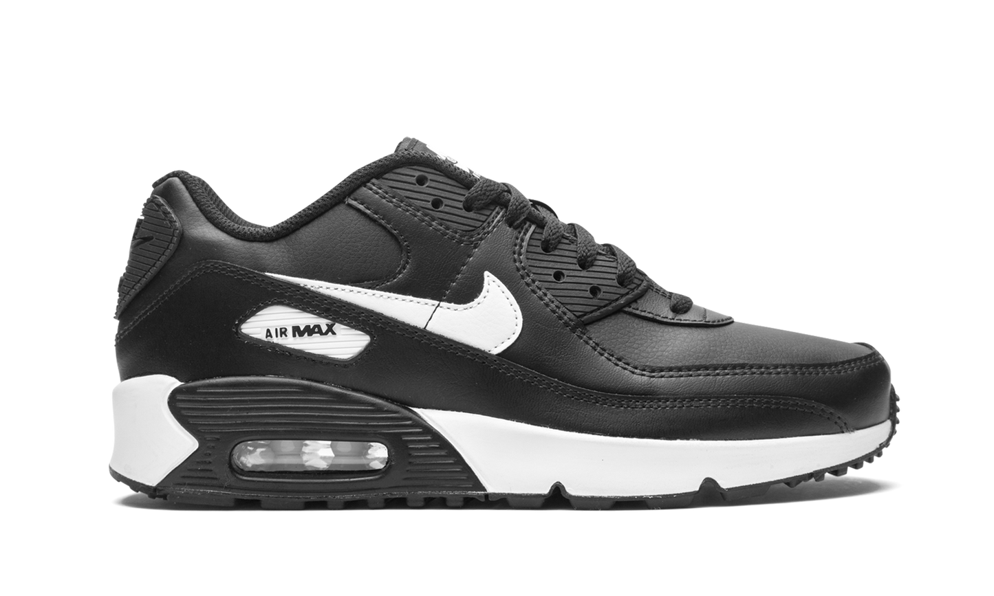 Air Max 90 LTR (GS)