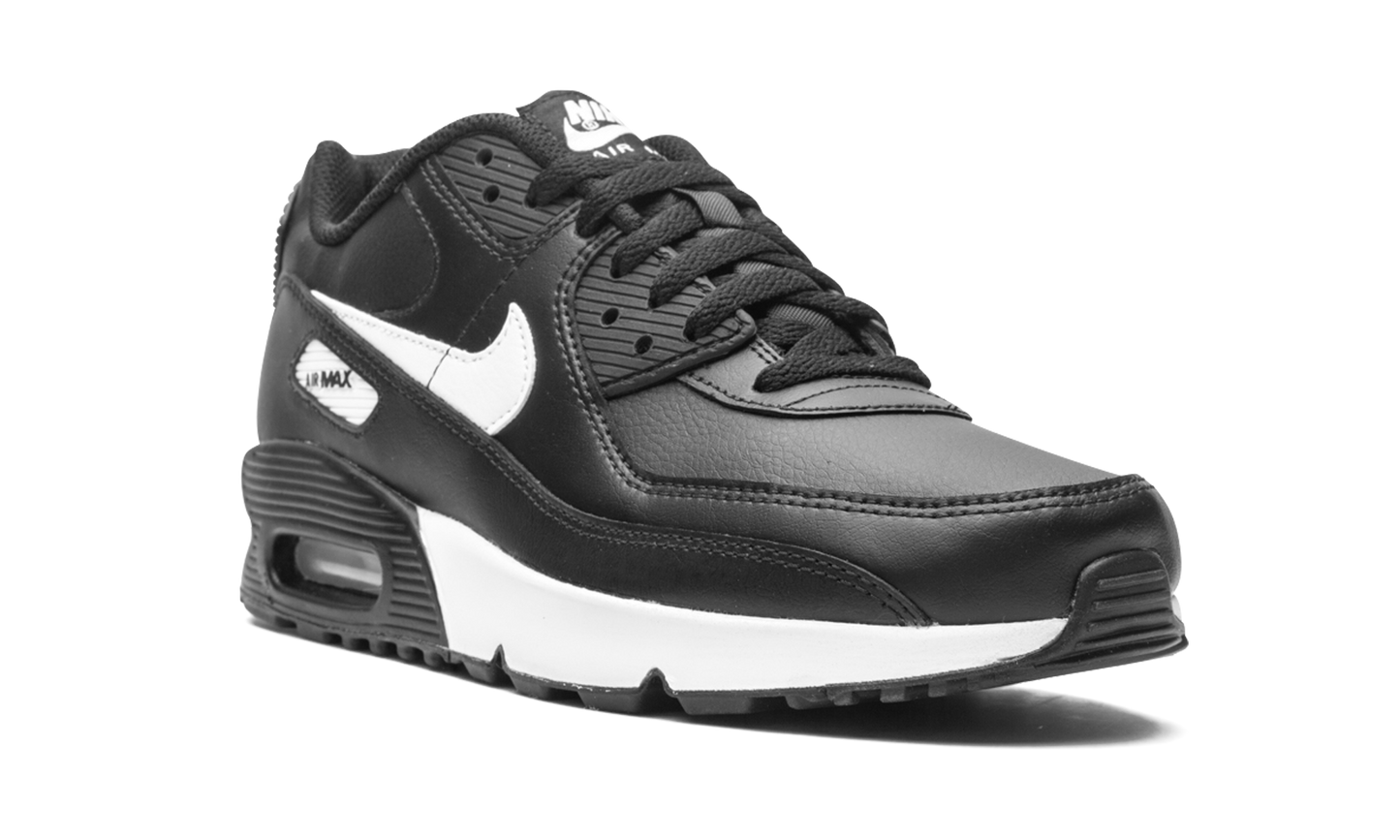 Air Max 90 LTR (GS)