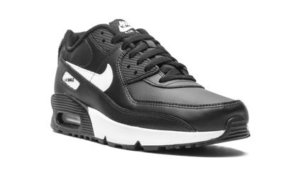 Air Max 90 LTR (GS)