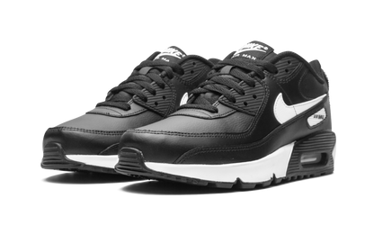 Air Max 90 LTR (GS)