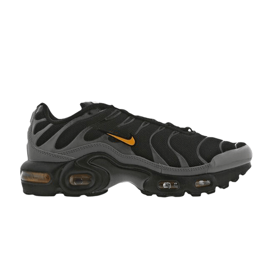 Nike Air Max Plus Laser Orange (GS)