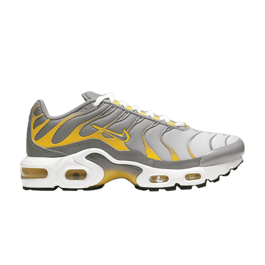 Nike Air Max Plus Particle Grey (GS)