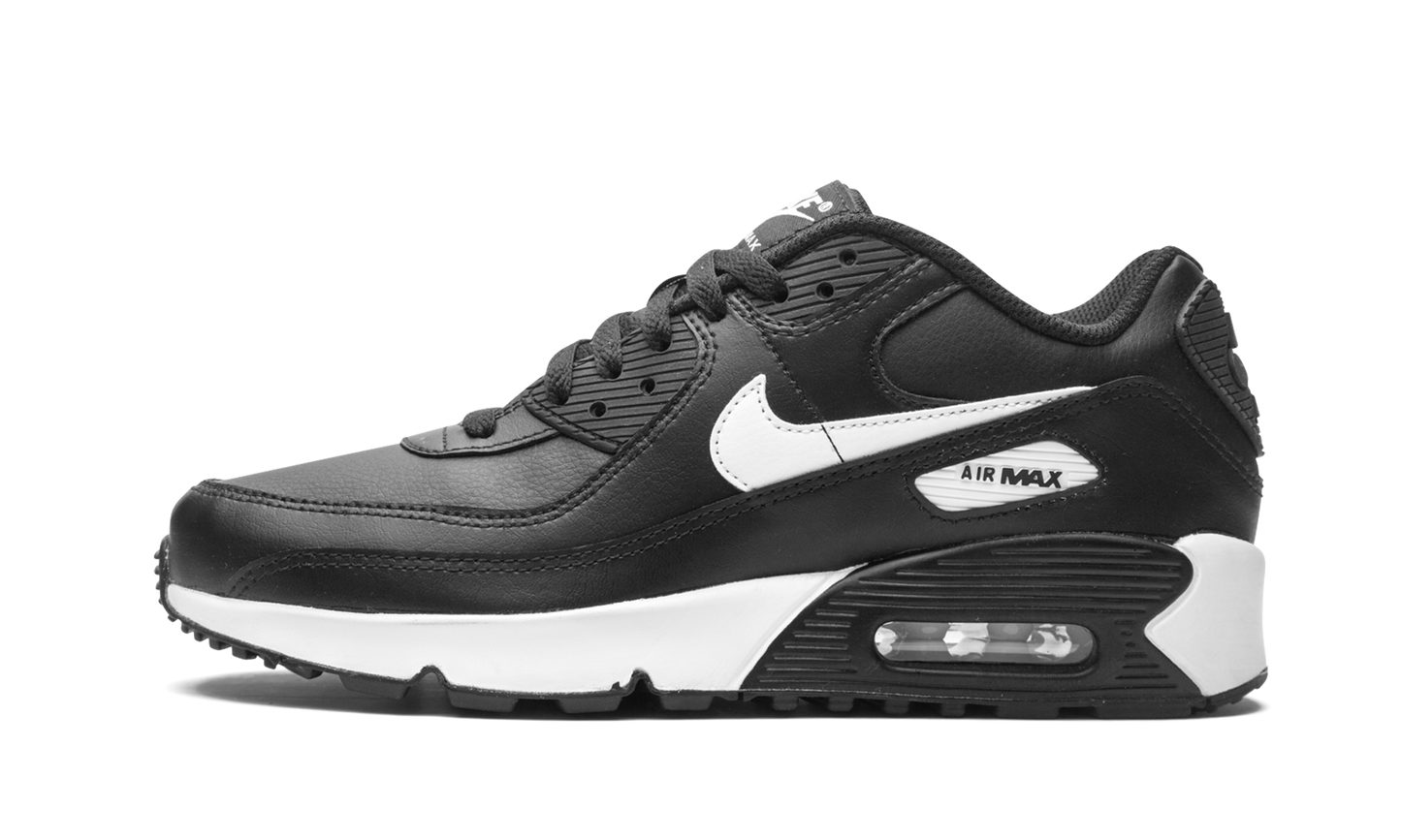 Air Max 90 LTR (GS)