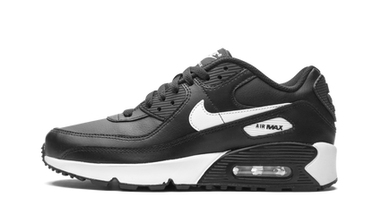 Air Max 90 LTR (GS)