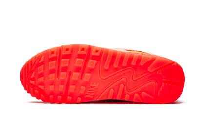 AIR MAX 90 PRM WMNS "Platinum Crimson/Bright Purple"