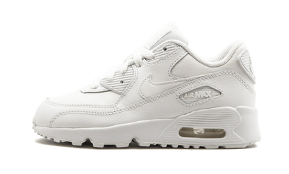 Air Max 90 LTR (PS)