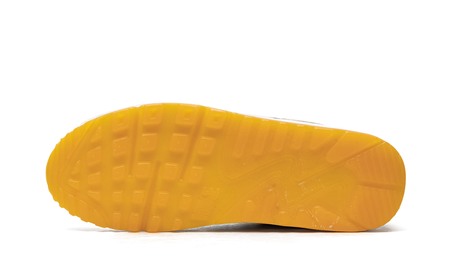 Air Max 90 "Frank Rudy"