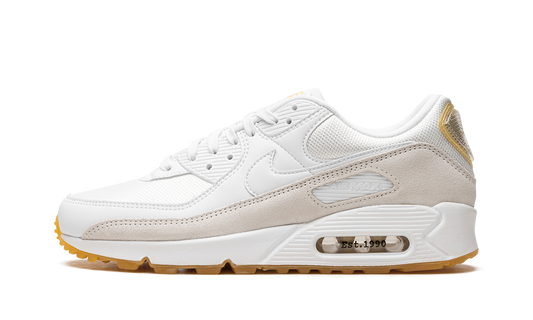 Air Max 90 "Frank Rudy"