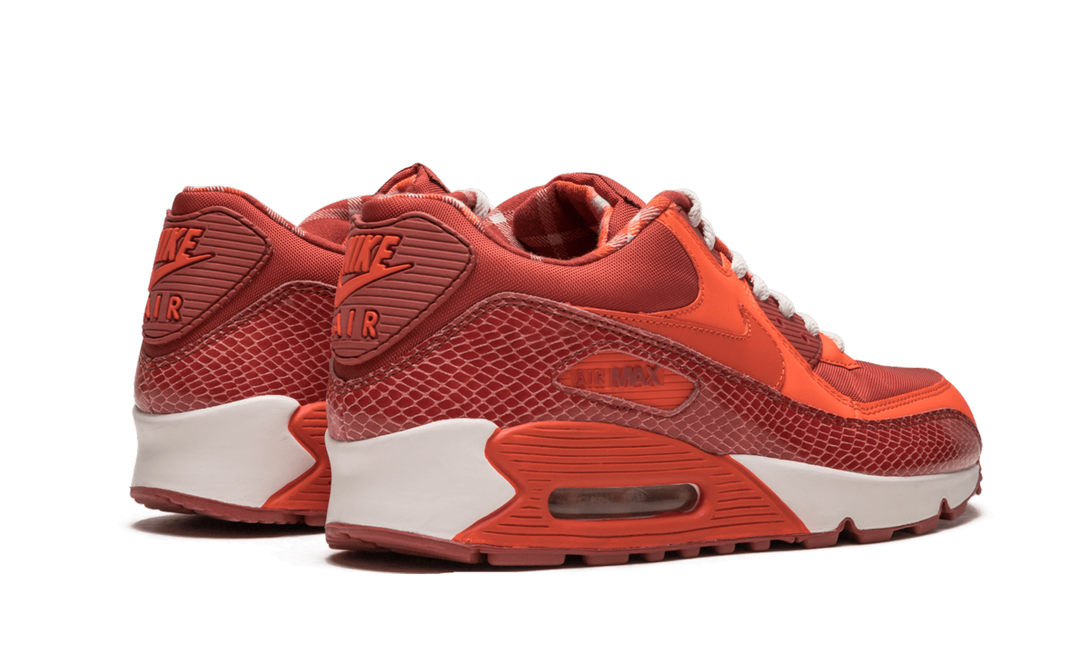 Air Max 90 QK "STEVE NASH"