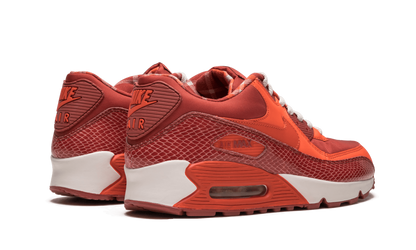 Air Max 90 QK "STEVE NASH"