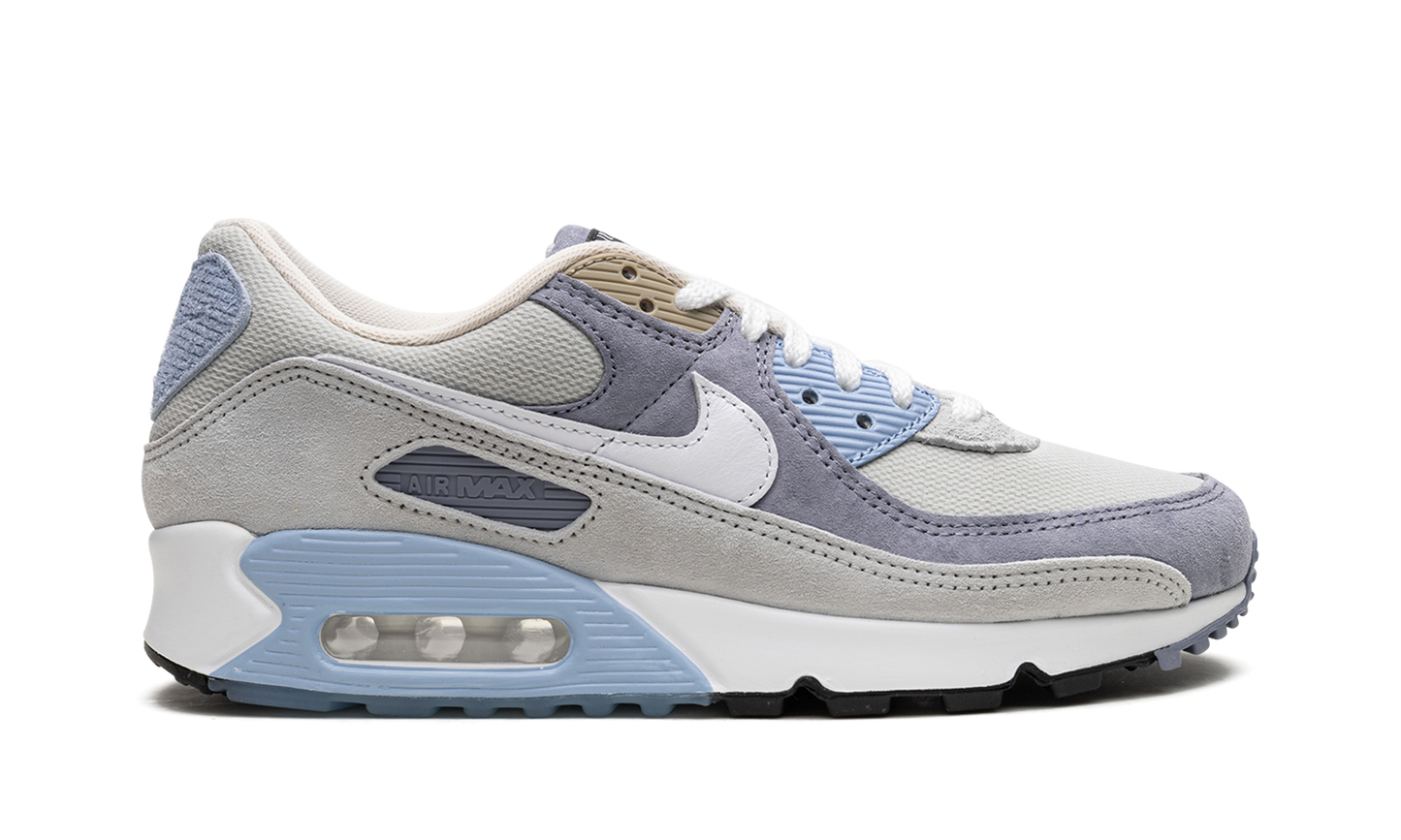 Air Max 90 "Ashen Slate"