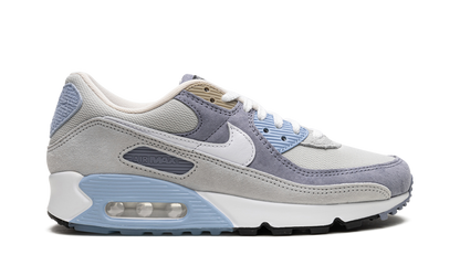 Air Max 90 "Ashen Slate"