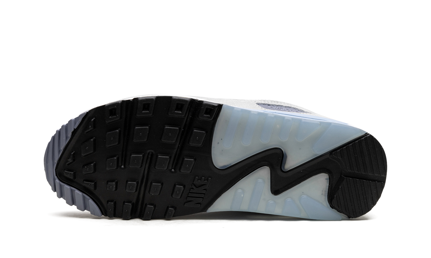 Air Max 90 "Ashen Slate"