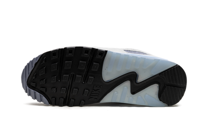 Air Max 90 "Ashen Slate"