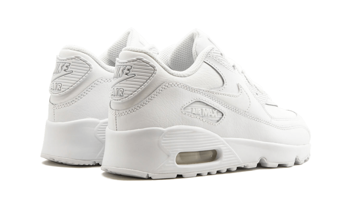 Air Max 90 LTR (PS)