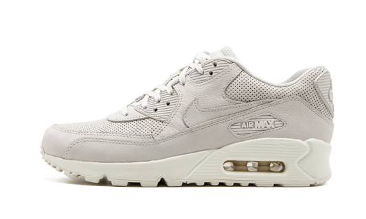 AIR MAX 90 PINNACLE MNS WMNS "tan"