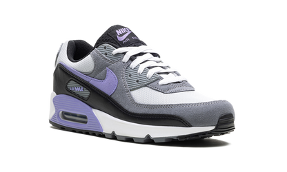 Air Max 90 "Light Thistle"