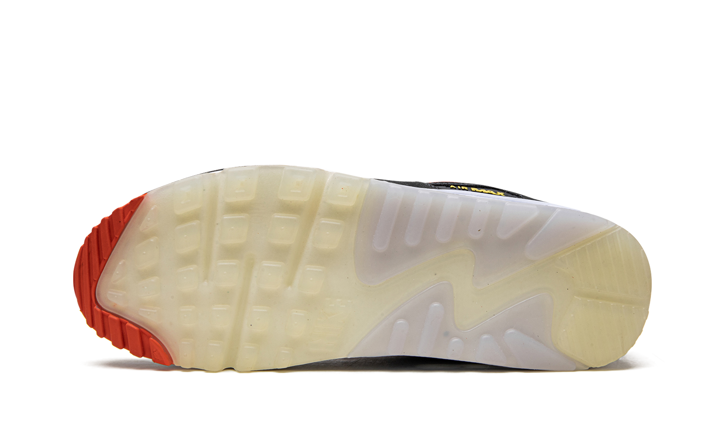 Air Max 90 "Set To Rise"