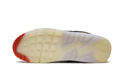 Air Max 90 "Set To Rise"
