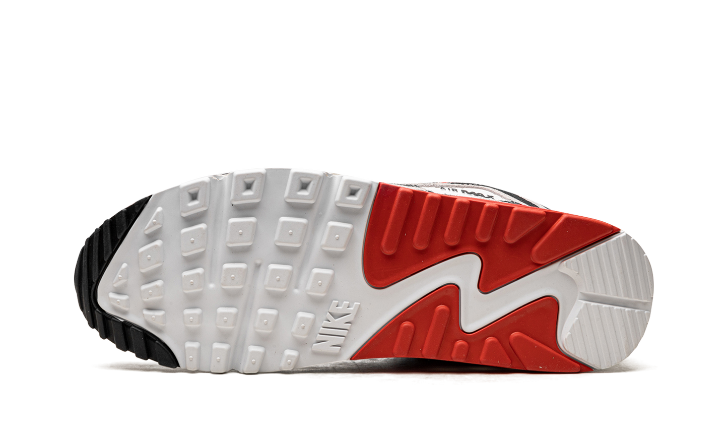 Air Max 90 "Animal Instinct"