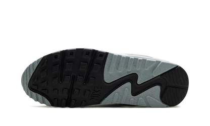 Air Max 90 WMNS "Silver"