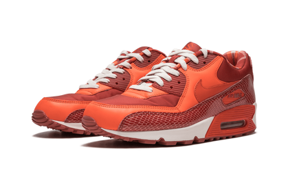 Air Max 90 QK "STEVE NASH"