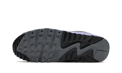 Air Max 90 "Light Thistle"